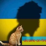 The “Do No Harm” Principle Against Russian Propaganda Trap