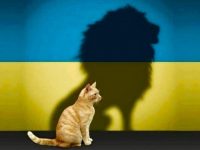 The “Do No Harm” Principle Against Russian Propaganda Trap The “Do No Harm” Principle Against Russian Propaganda Trap