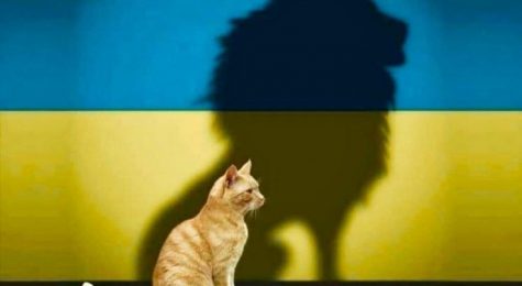 The “Do No Harm” Principle Against Russian Propaganda Trap