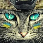 New Year 2023 Greetings from the Website Team