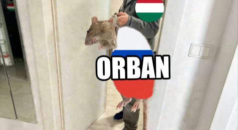 Orban Lost Hungary Elections: Friendly Neighbor Ahead?